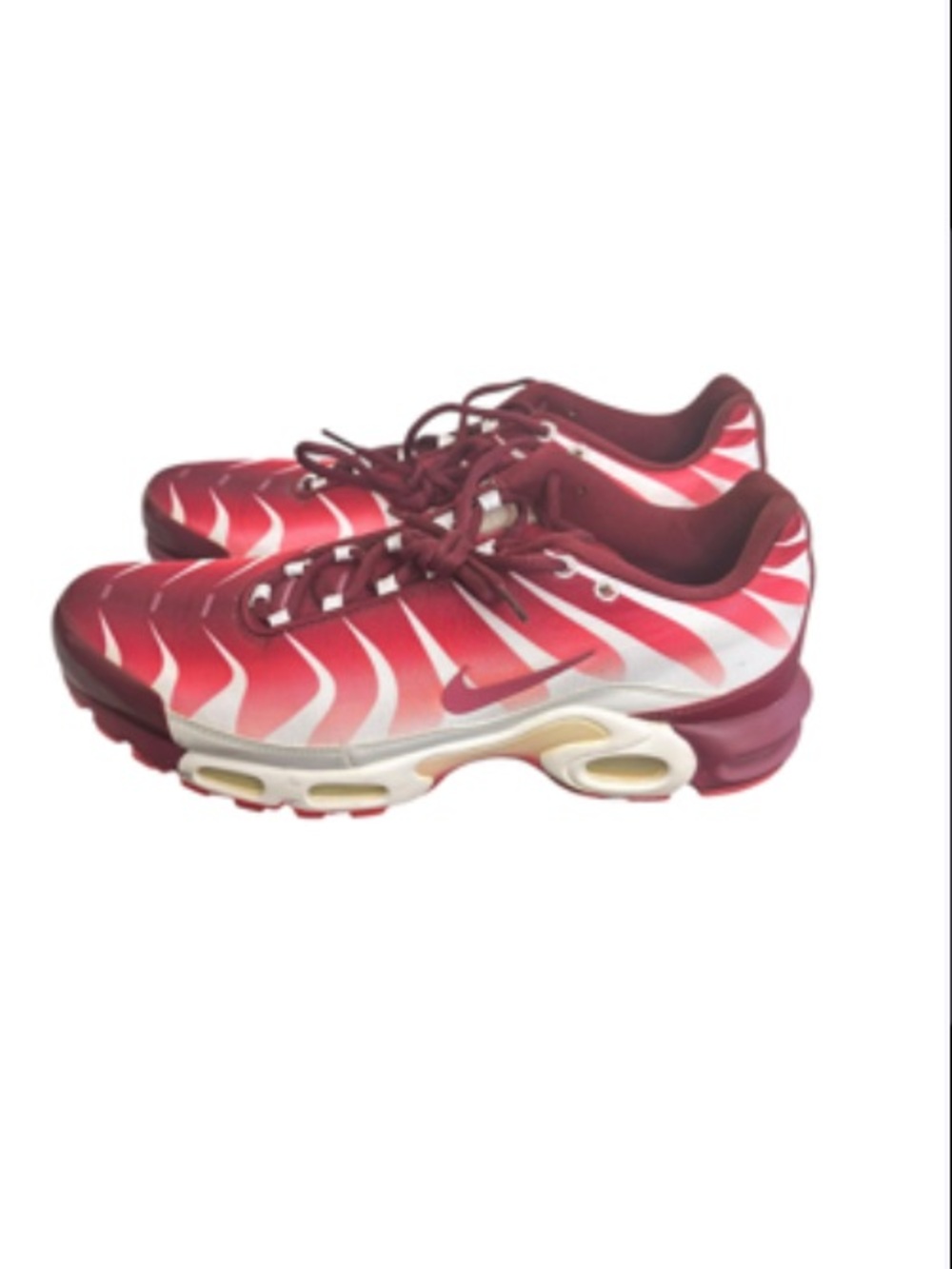 Nike Men’s air max plus”after the bite” shoes